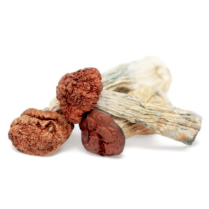 Blue Meanie Magic Mushrooms – Potent Psilocybe Cubensis for Sale